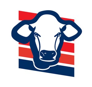 New logo converted to EPS file with fast redraw service